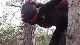 Tied up to a tree unserviceable in sexy clothes and fucked hard